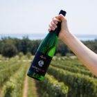 Skrabski Rajnai Rizling 2022