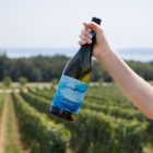 Skrabski Furmint 2022