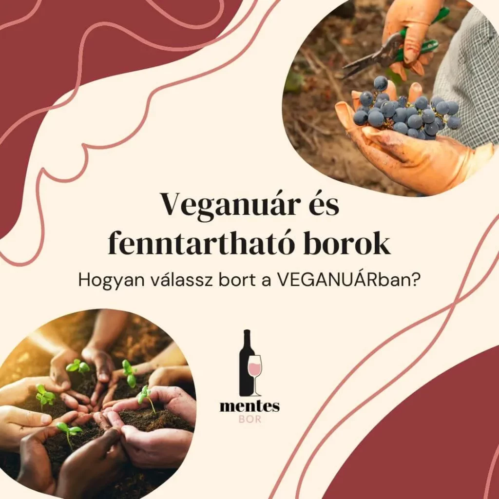 Veganuár és fenntartható borok